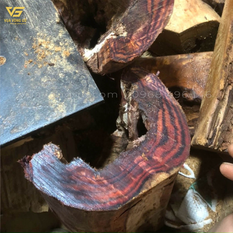 Phôi gỗ sưa đỏ đẹp