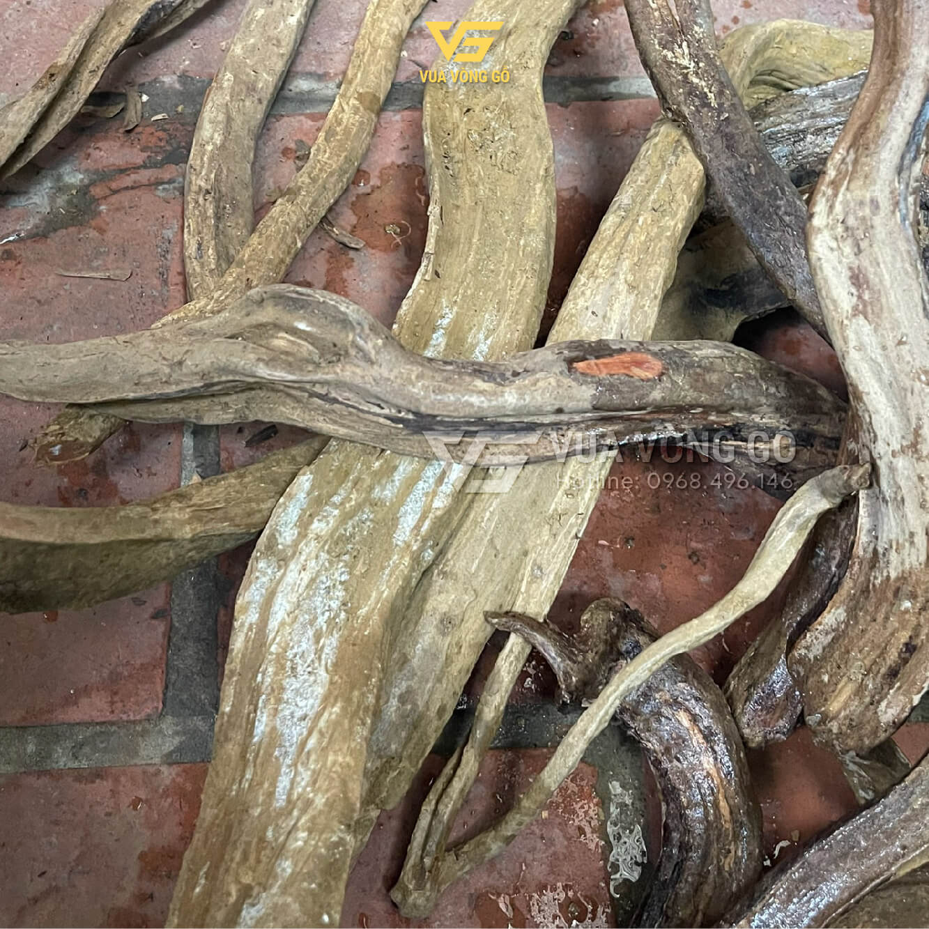 Phôi rễ gỗ Hoàng Đàn tuyết Lạng Sơn Phôi rễ gỗ Hoàng Đàn tuyết Lạng Sơn già tự nhiên, chứa nhiều tinh dầu, nguyên liệu làm vòng phong thủy
