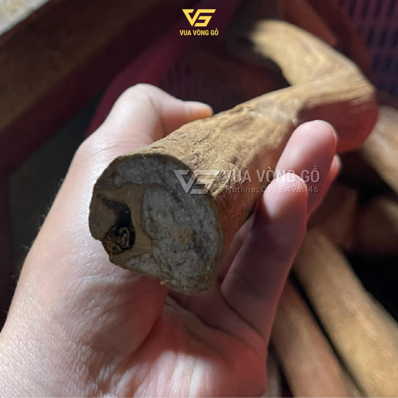 Phôi rễ Hoàng Đàn tuyết chất già, mùi thơm đậm đặc trưng, dùng chế tác vòng tay gỗ cao cấp