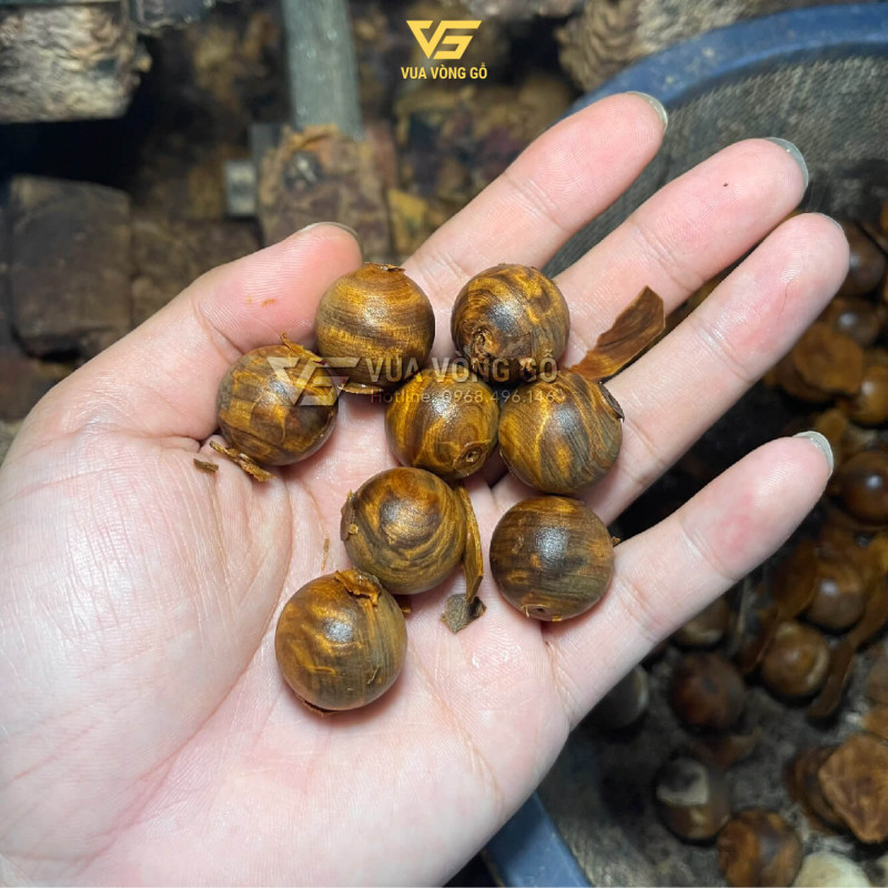 Hạt gỗ Bách xanh Mộc Châu từ phôi tia chớp, vân xoáy và vân sét hiện rõ, màu nâu vàng đặc trưng.